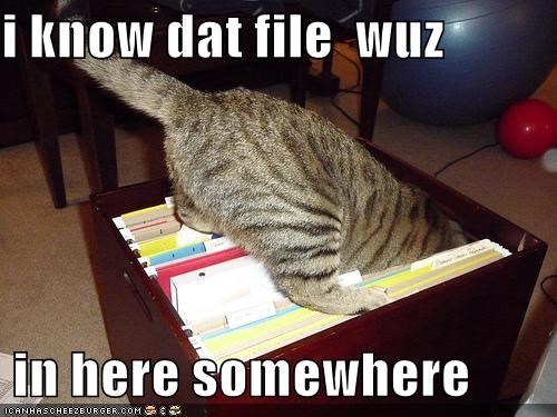 File Cat