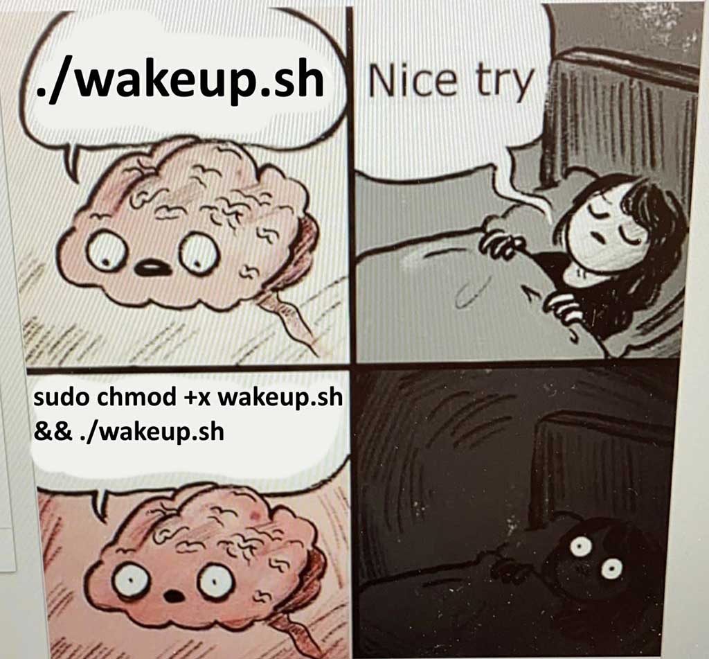 Sudo Brain